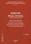 DERECHO PENAL JUVENIL