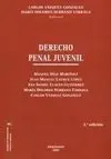 Derecho Penal Juvenil