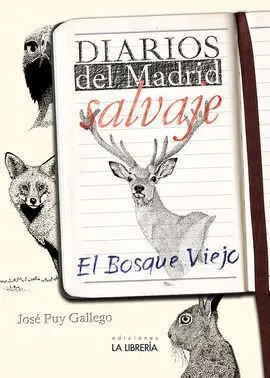 Filosofo Impertinente