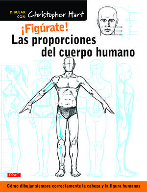 PROPORCIONES DEL CUERPO, LAS