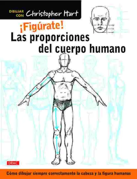 Proporciones del Cuerpo, las