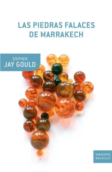 Las Piedras Falaces de Marrakech
