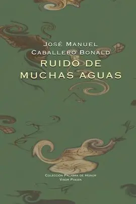 Ruido de Muchas Aguas