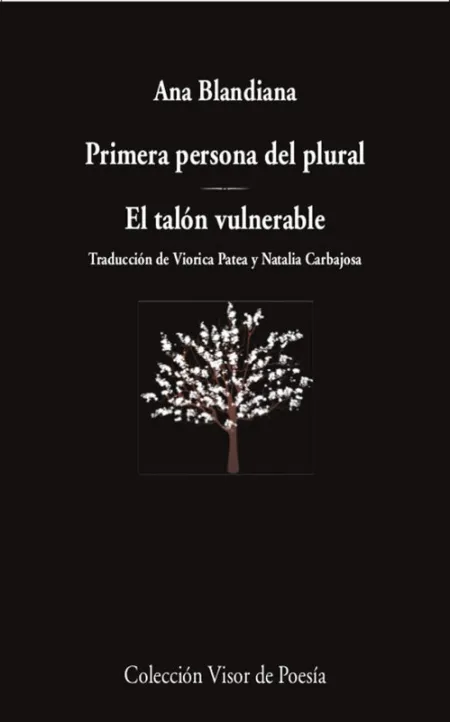 Primera Persona del Plural / el Talón Vulnerable