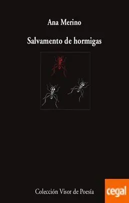 Salvamento de Hormigas