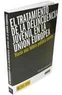Tratamiento de la Delincuencia Juvenil en la Union