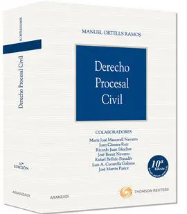Derecho Procesal Civil 10 Ed (2010)