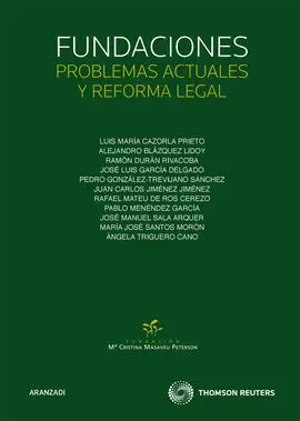 Fundaciones: Problemas Actuales y Reforma Legal