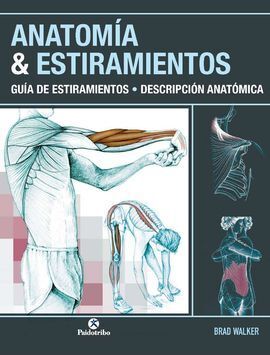 ANATOMÍA & ESTIRAMIENTOS
