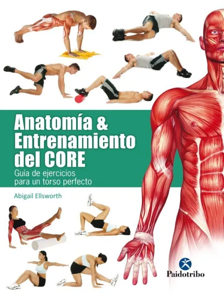 Anatomía & Entrenamiento del Core (Color)