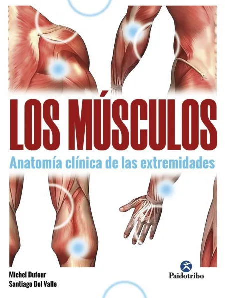 Músculos, los. Anatomía Clínica de las Extremidades