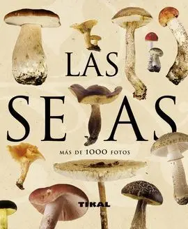 Setas