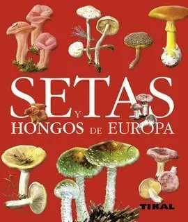 Setas