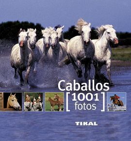 CABALLOS