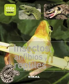 Insectos,Anfibios y Reptiles