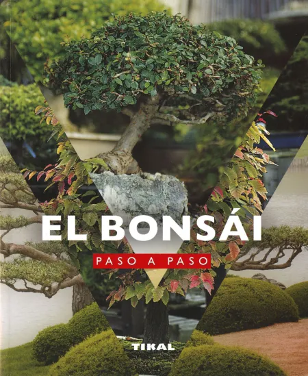 El Bonsái Paso a Paso