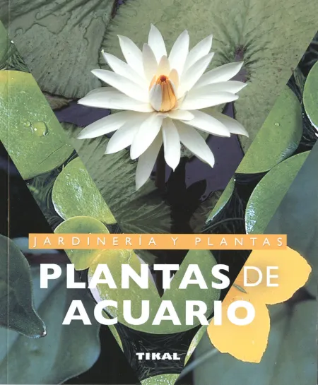 Plantas de Acuario