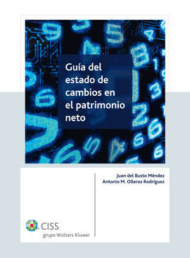GUÍA DEL ESTADO DE CAMBIOS EN EL PATRIMONIO NETO
