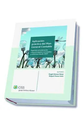 Aplicación Práctica del Plan General Contable