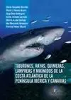 Tiburones, Rayas, Quimeras, Lampreas y Mixínidos D