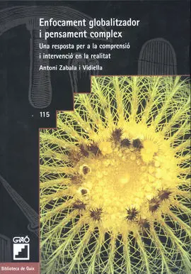 Enfocament Globalitzador I Pensament Complex