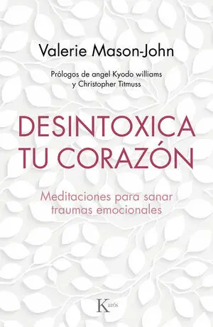 Desintoxica tu Corazón