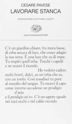 Lavorare Stanca