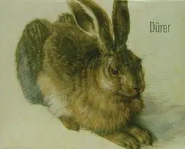 Láminas Dürer. Durero