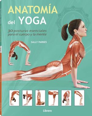 ANATOM¡A DEL YOGA