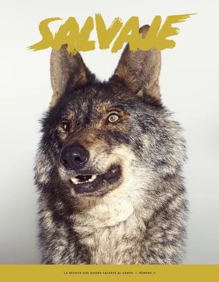 Salvaje 11
