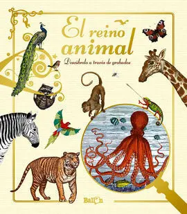 Reino Animal el
