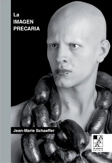 La Imagen Precaria