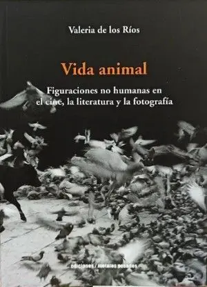 Vida Animal