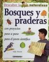 BOSQUES Y PRADERAS