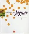 Despertar del Jaguar