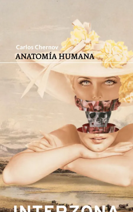 Anatomia Humana