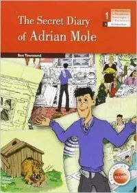 The Secret Diary Of Adrian Mole Activity 1 Bch