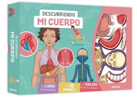 Descubriendo mi Cuerpo. Tablero Magnético