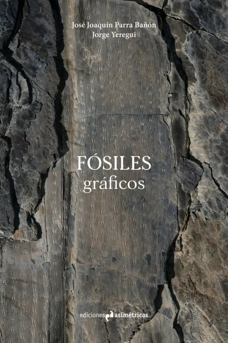 Fósiles Gráficos