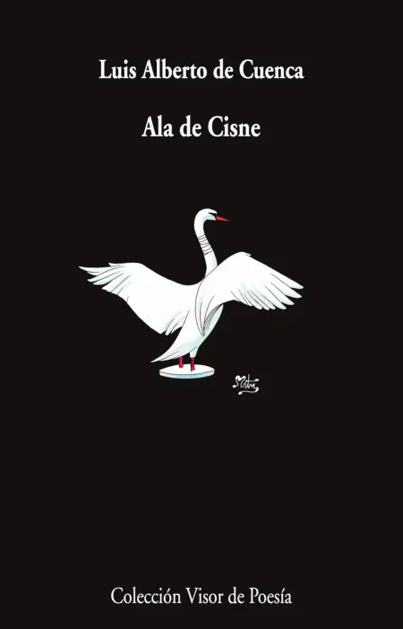 Ala de Cisne
