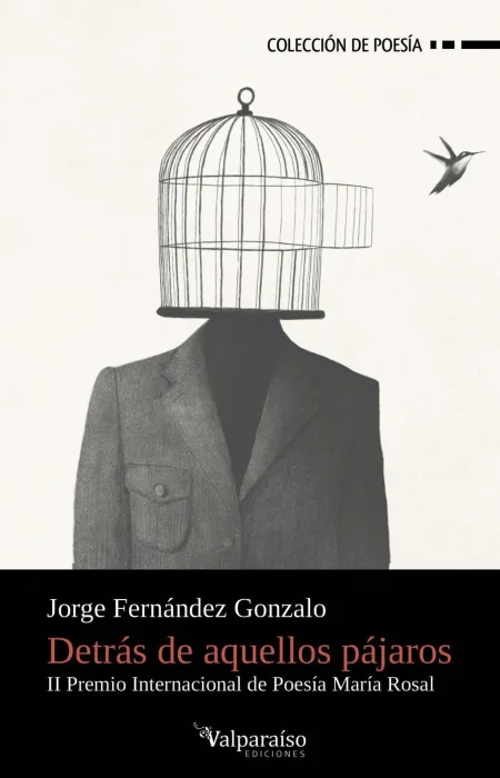 Detrás de aquellos Pájaros