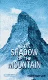 In The Shadow Of The Mountain Level 5