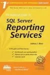 The Rational Guide To Sql Server Reporting Services