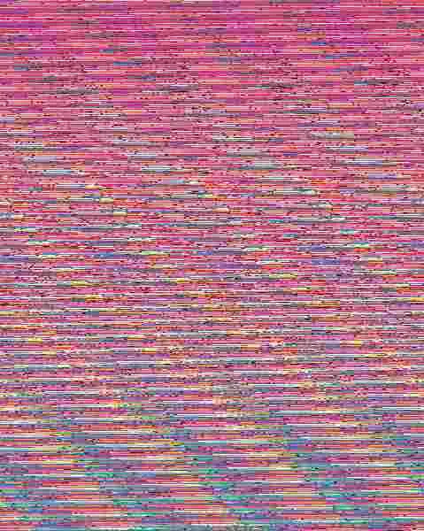 1001 Bichitos que Buscar