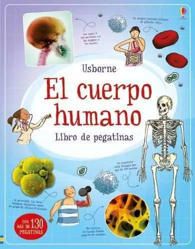 El Cuerpo Humano