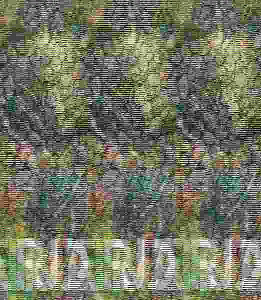 Jardines