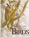 Drawing And Painting Birds