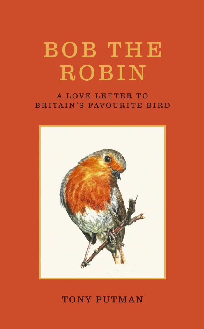 Bob The Robin