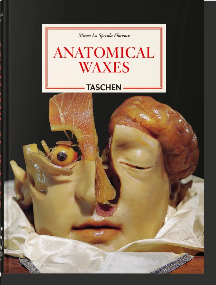 Anatomical Waxes. 45Th Ed.