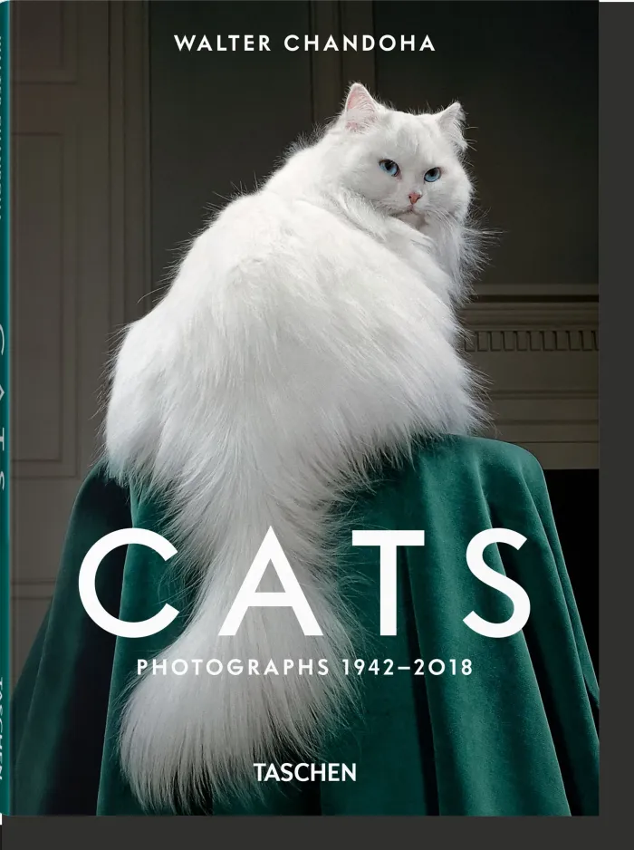 Walter Chandoha. Cats. Photographs 19422018